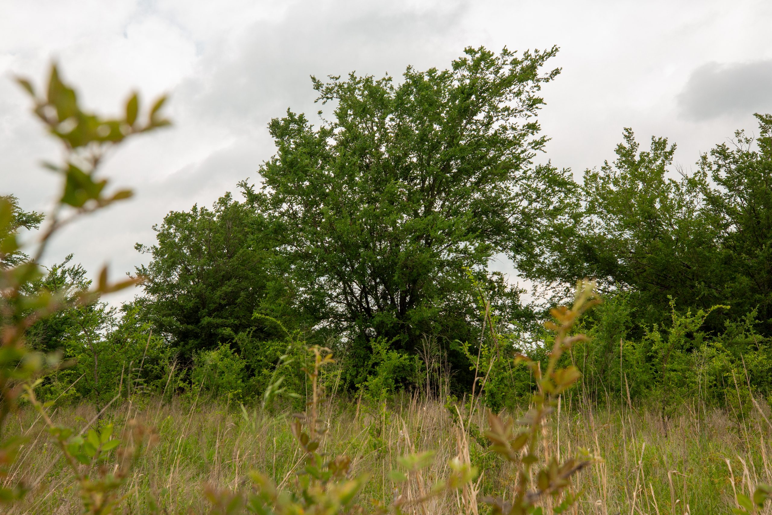 Tract 1 at Prairie Grove in Okfuskee County, Oklahoma