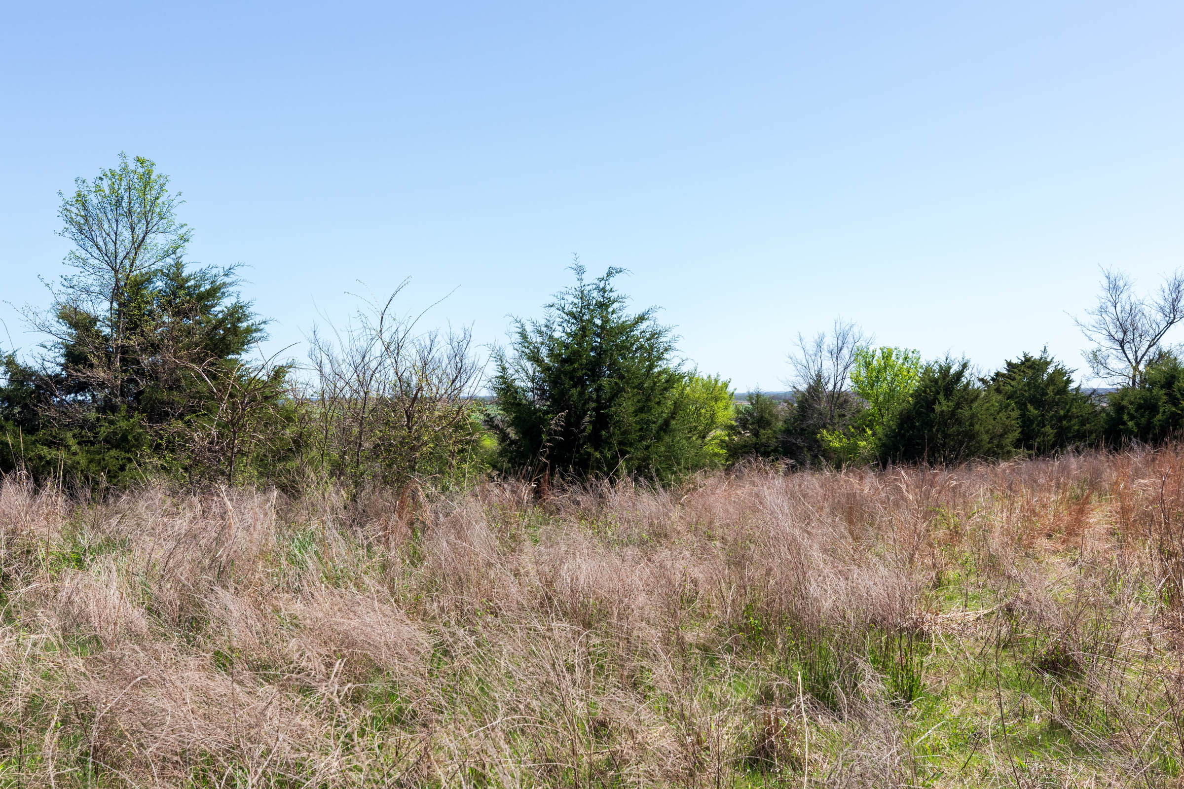 Tract 10 at Prairie Grove in Okfuskee County, Oklahoma