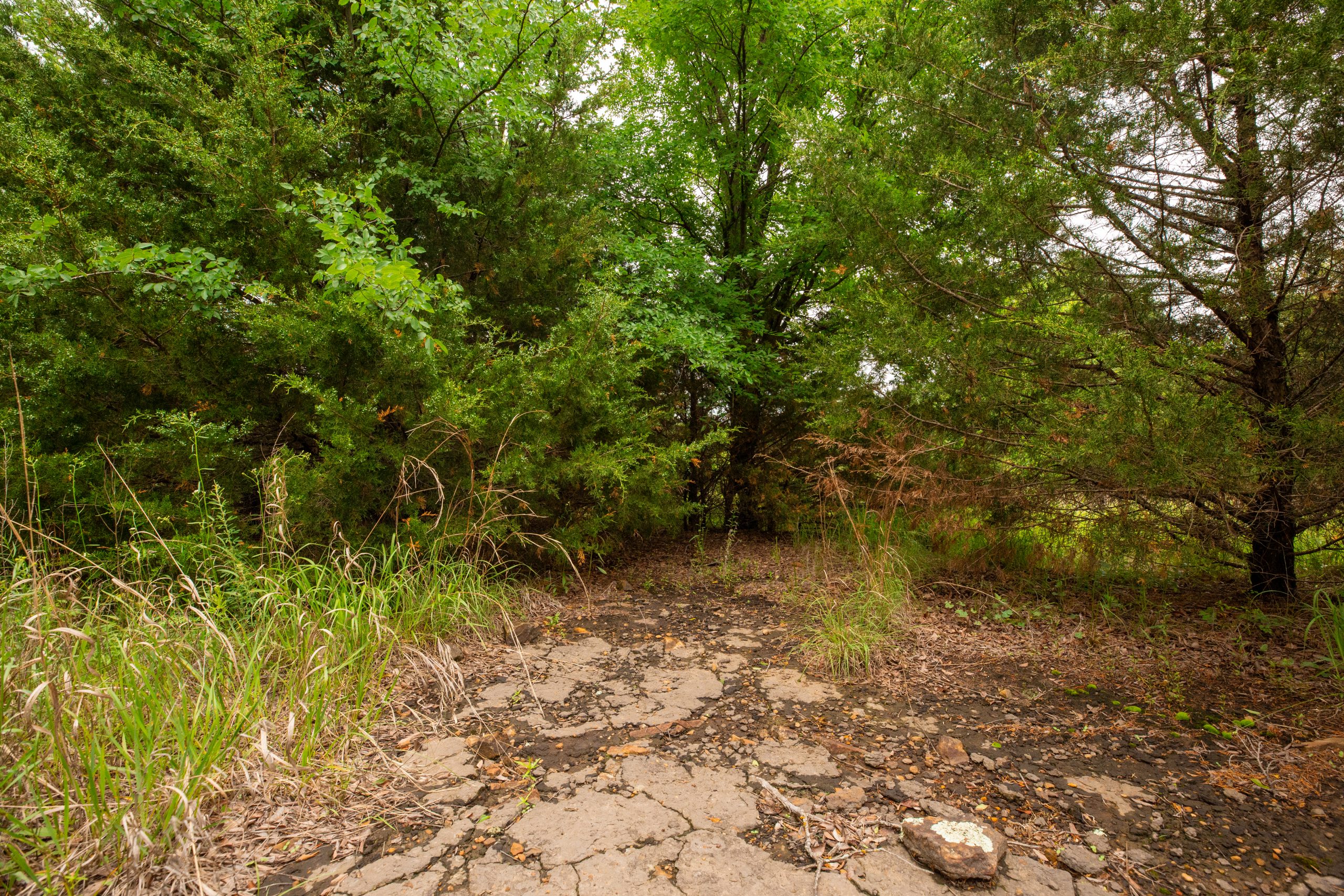 Tract 11 at Prairie Grove in Okfuskee County, Oklahoma