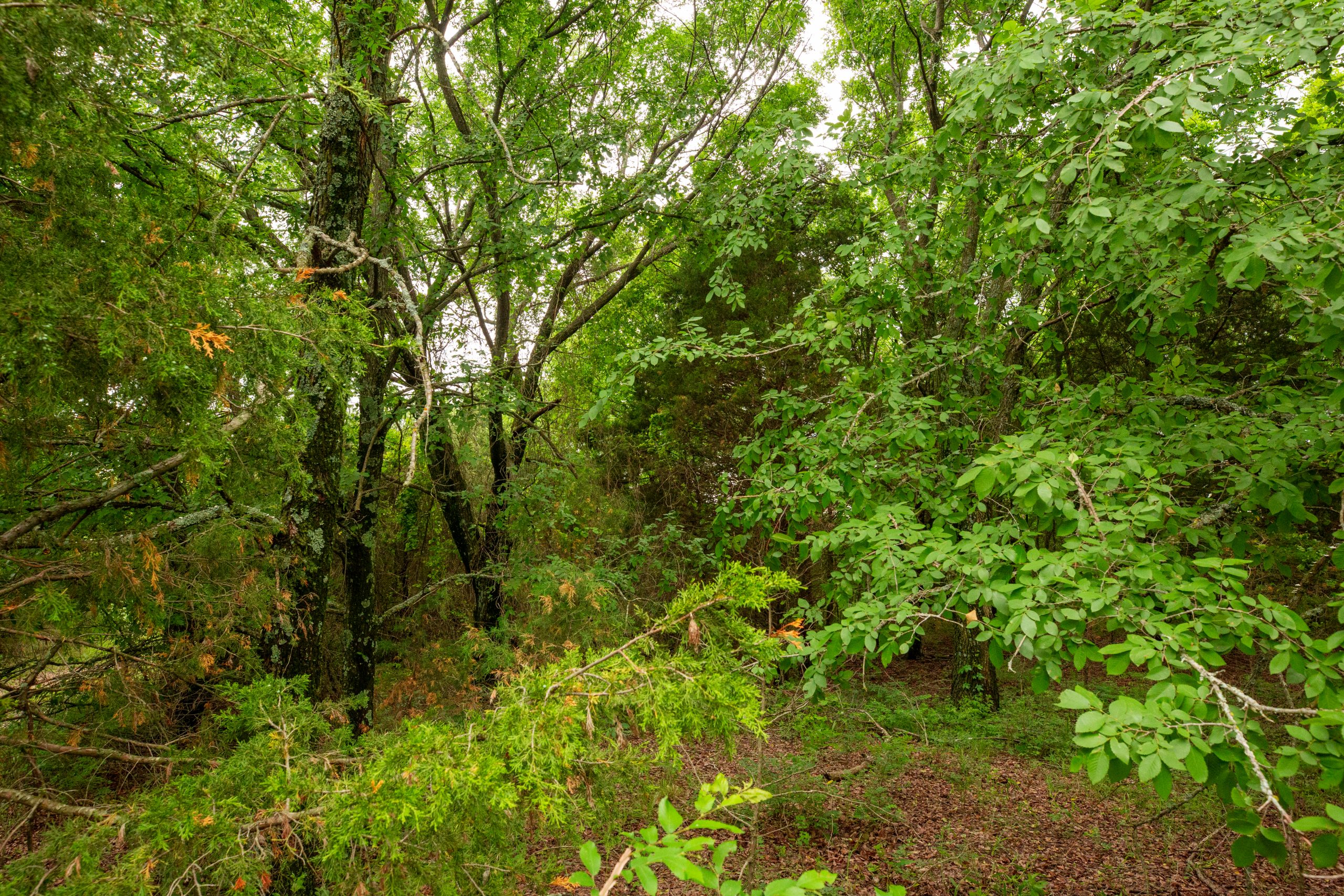 Tract 13 at Prairie Grove in Okfuskee County, Oklahoma