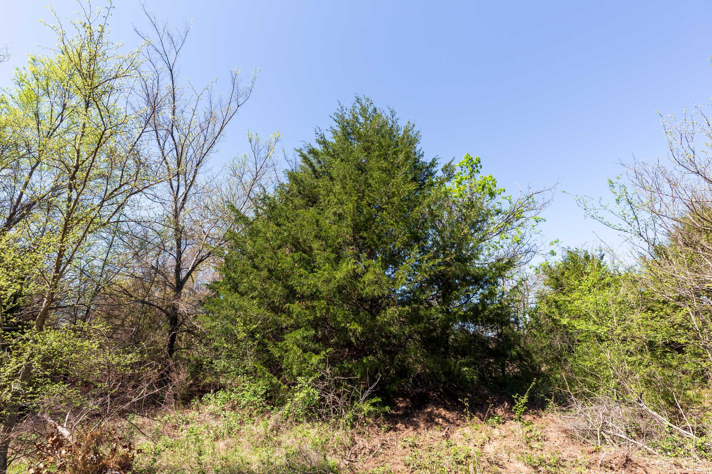 Tract 14 at Prairie Grove in Okfuskee County, Oklahoma