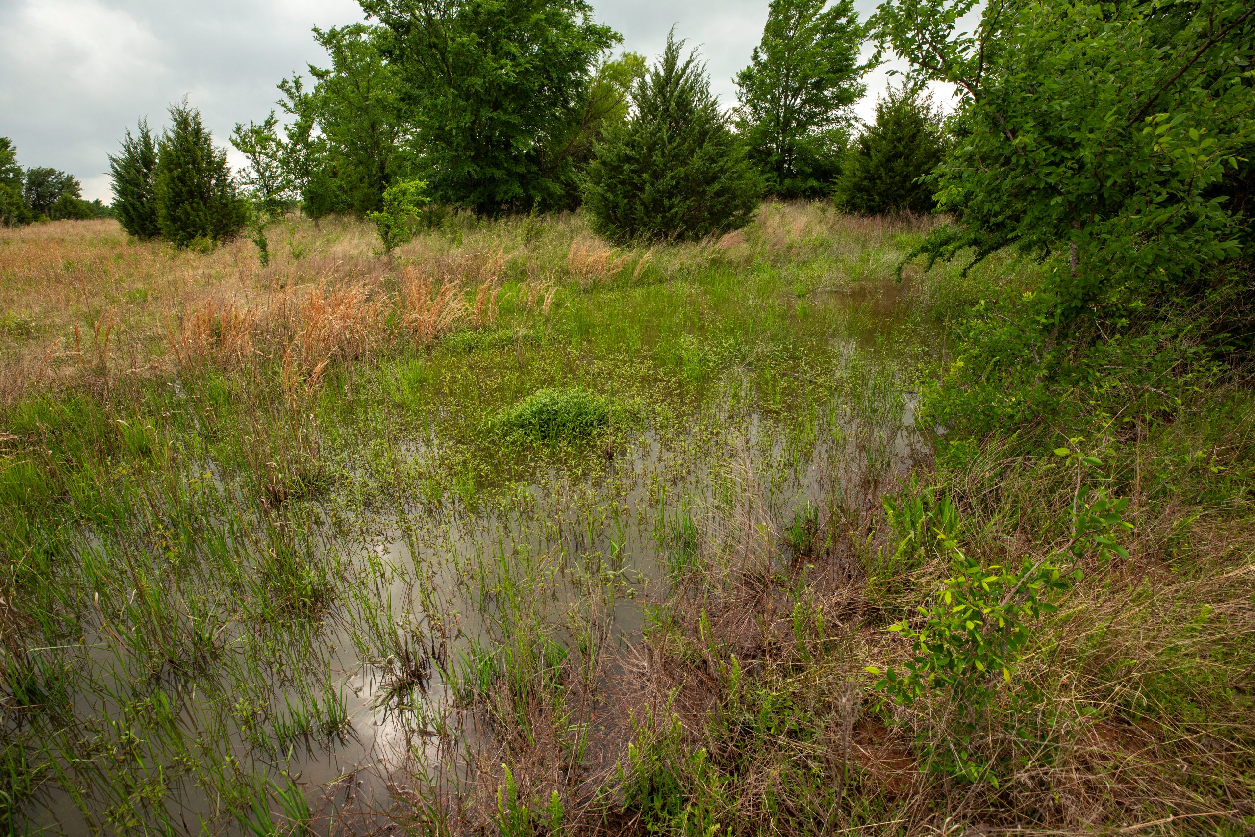 Tract 15 at Prairie Grove in Okfuskee County, Oklahoma