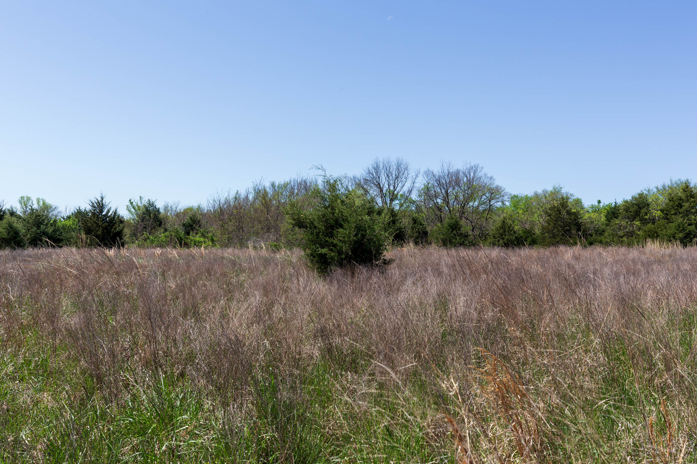 Tract 19 at Prairie Grove in Okfuskee County, Oklahoma