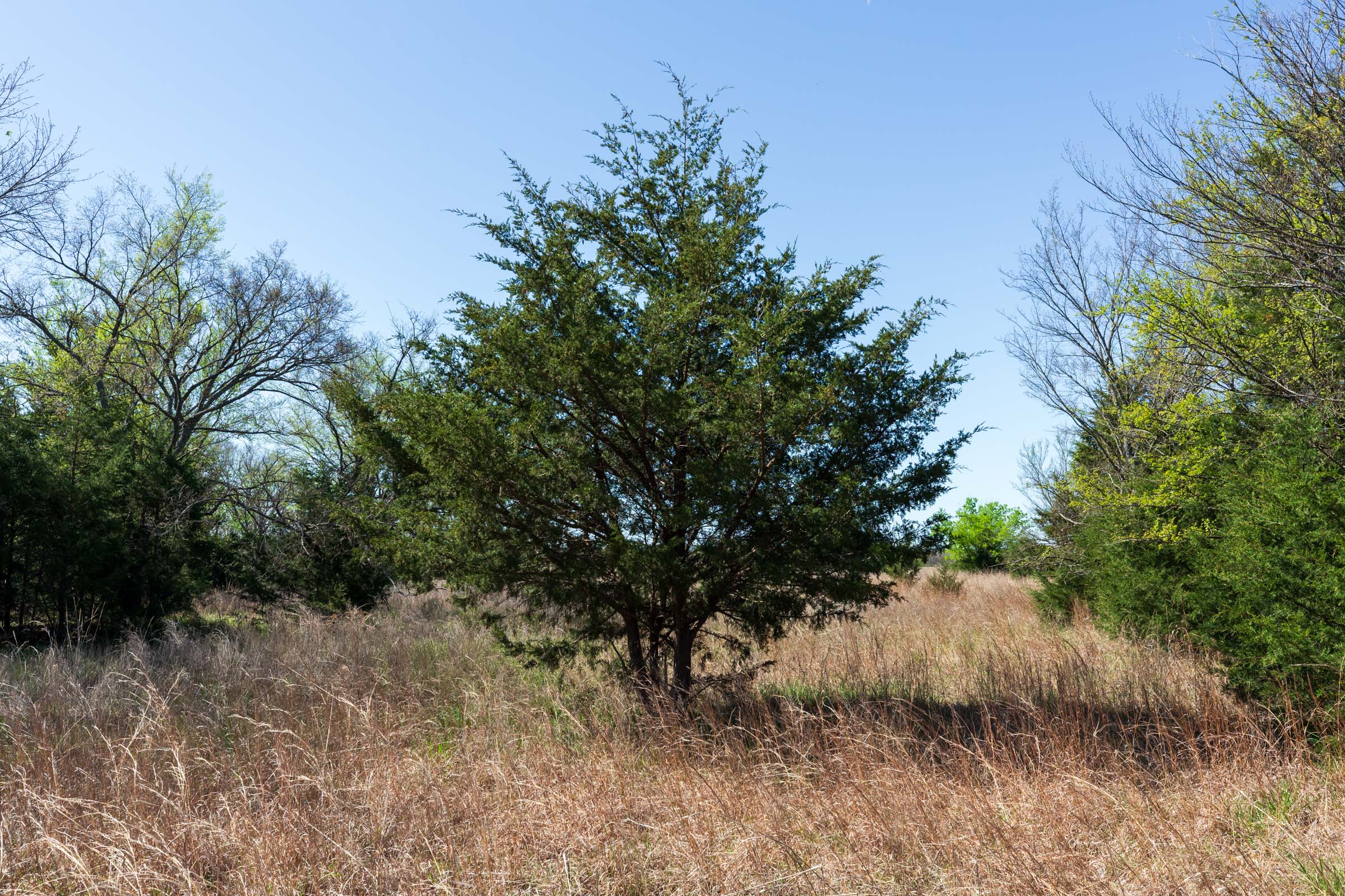 Tract 21 at Prairie Grove in Okfuskee County, Oklahoma