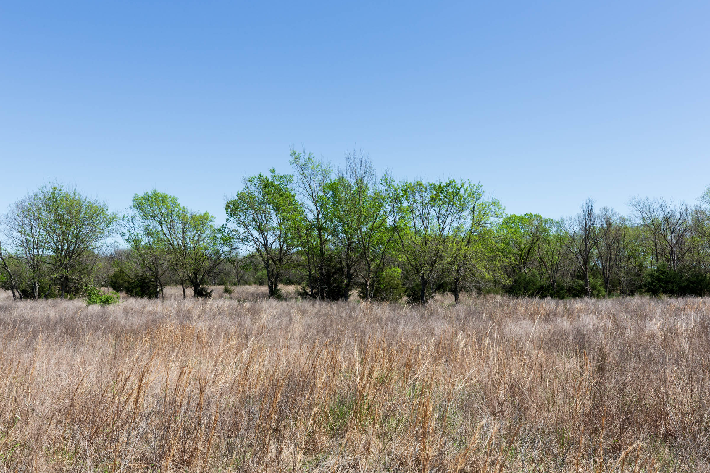 Tract 22 at Prairie Grove in Okfuskee County, Oklahoma