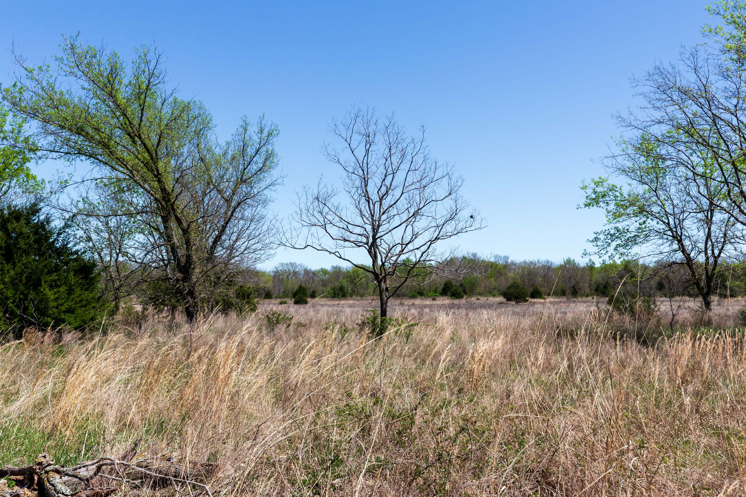 Tract 23 at Prairie Grove in Okfuskee County, Oklahoma