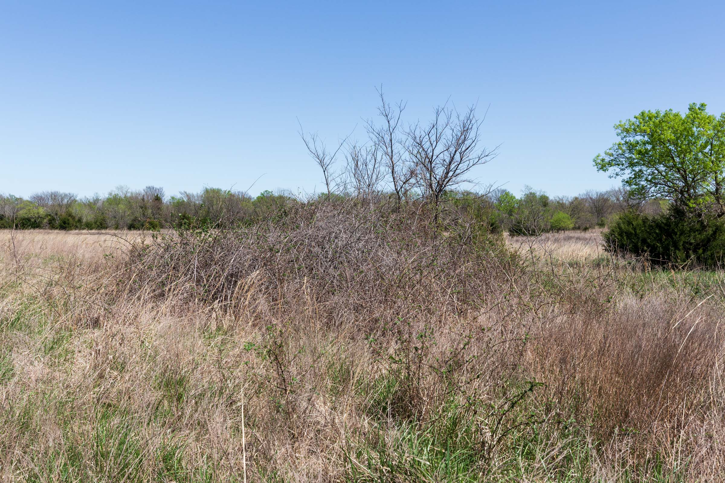 Tract 24 at Prairie Grove in Okfuskee County, Oklahoma