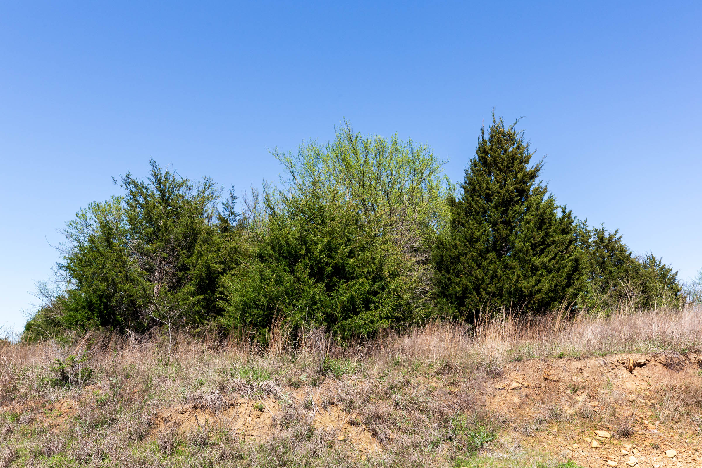 Tract 6 at Prairie Grove in Okfuskee County, Oklahoma