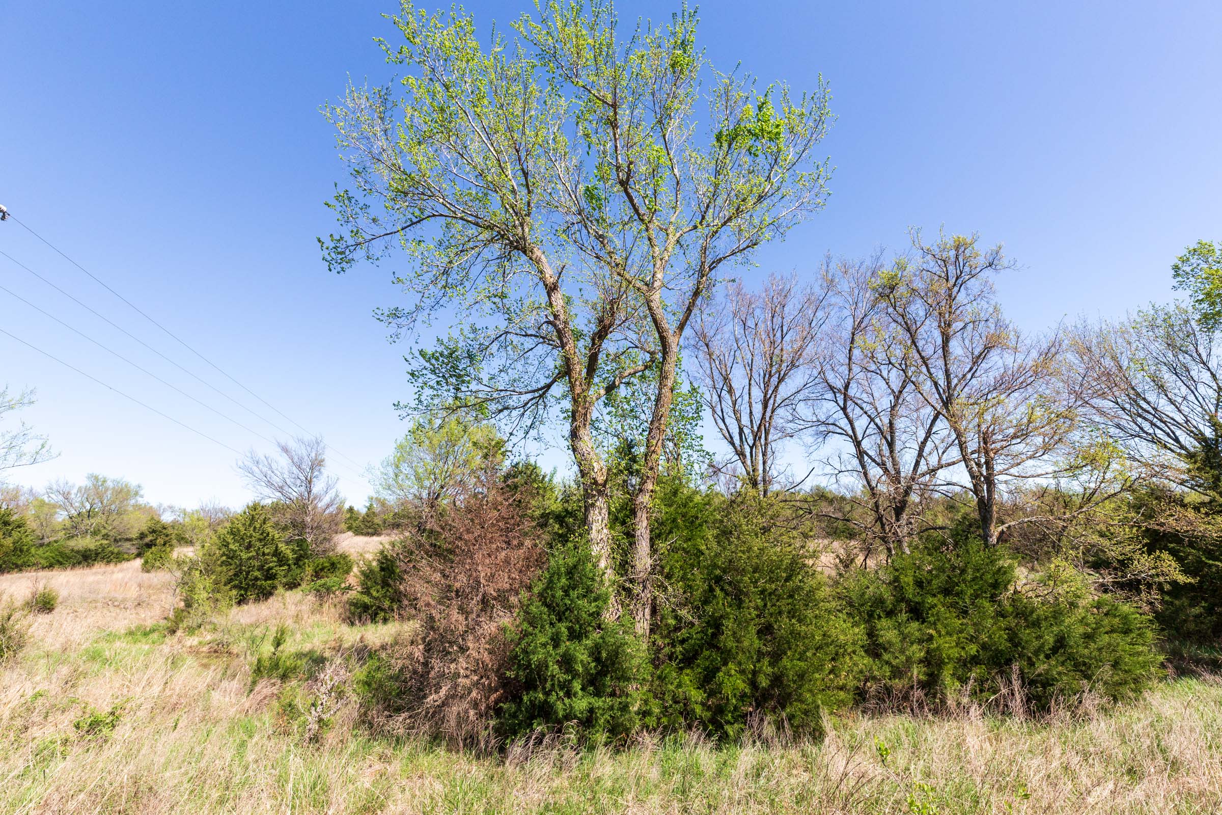 Tract 7 at Prairie Grove in Okfuskee County, Oklahoma
